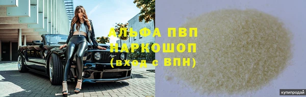 гидра Абаза