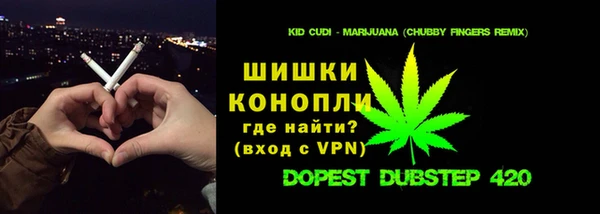 гидра Абаза
